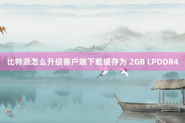 比特派怎么升级客户端下载缓存为 2GB LPDDR4
